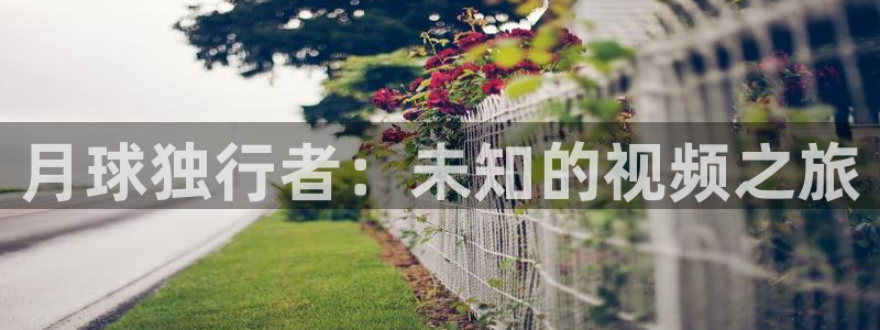 久久久影院电视剧在线观看