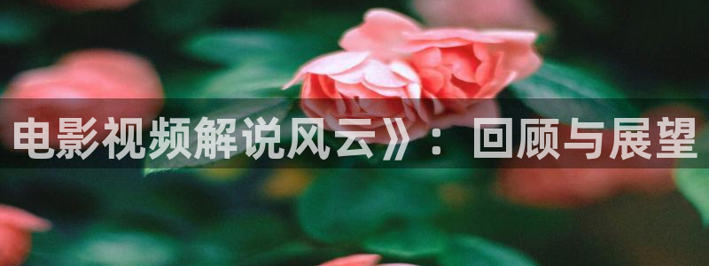 高清国产视频久久久久
