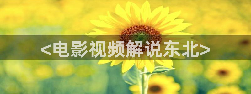 久久久久久久久久久9精品视频