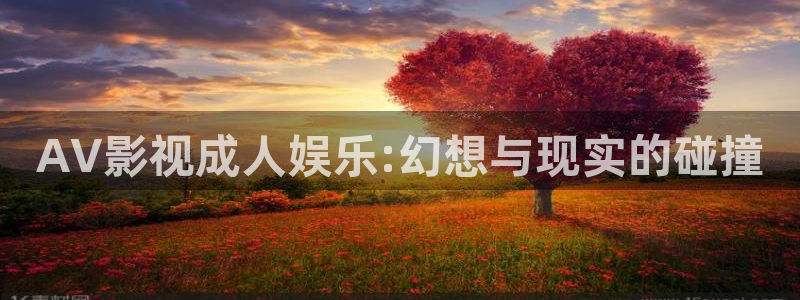 久久久久久久久99精品视频