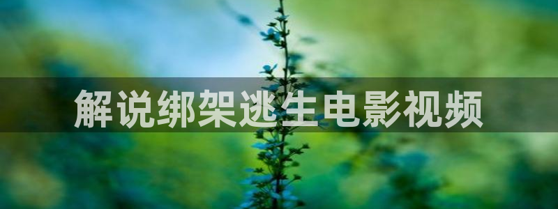 亚洲精品电影久久久久
