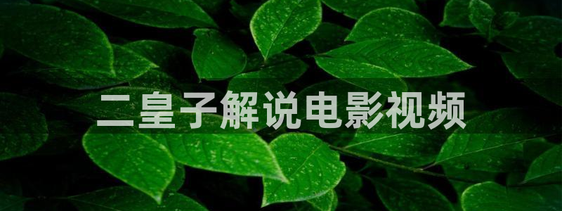 久久久久久精品电影