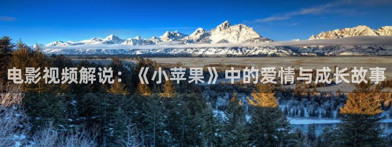 久久久影院电视剧免费播放观看
