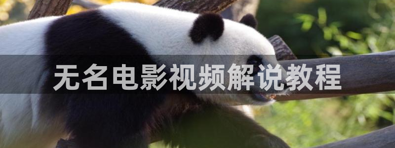 久久久久麻豆国产视频