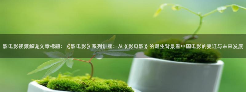 久久视频这里只有精品久久好看