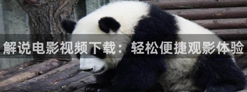 久久久影院乱