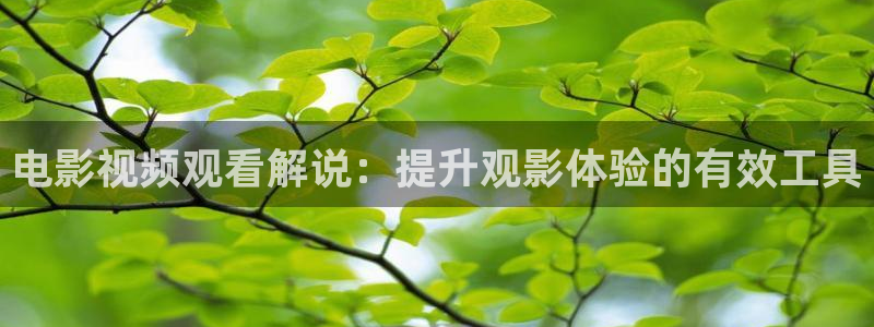 久久久久久午夜影院
