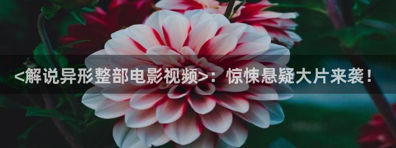 久久久神马影院