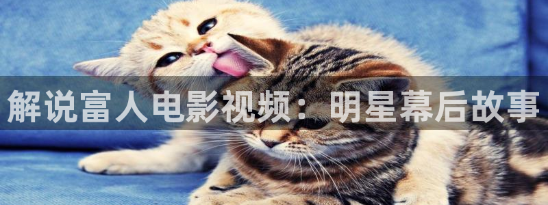 久久视频啪啪啪