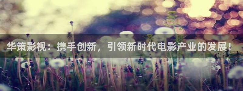 久久视频二区